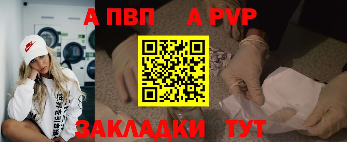 A PVP СК Ухта