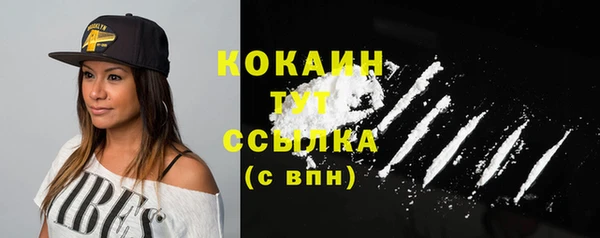 PSILOCYBIN Лабытнанги