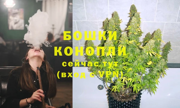 PSILOCYBIN Лабытнанги