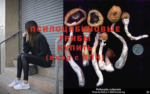 хмурый Сосновый Бор