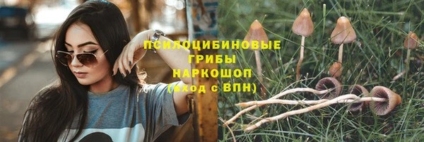 mdma Лагань