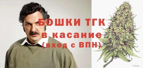 PSILOCYBIN Лабытнанги