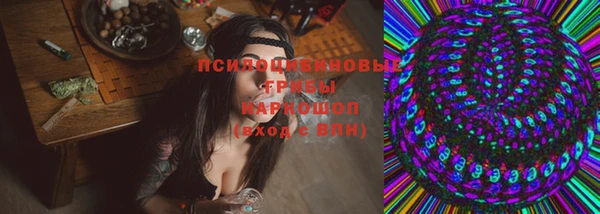 PSILOCYBIN Лабытнанги