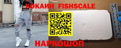 индика Пенза