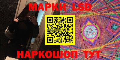 индика Пенза