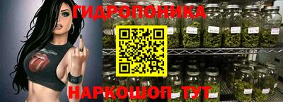 индика Пенза