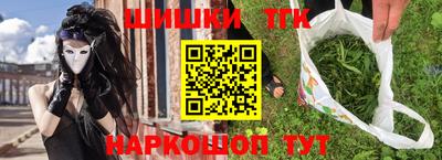 индика Пенза