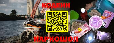 индика Пенза