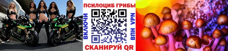 где продают   Ухта  Галлюциногенные грибы GOLDEN TEACHER 