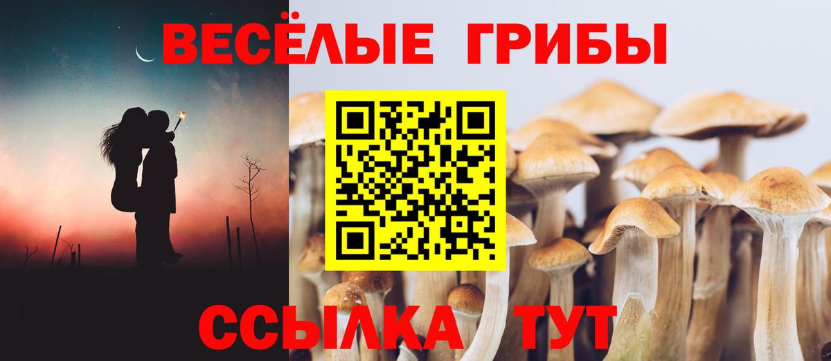 Ухта  Галлюциногенные грибы мицелий  Вход с VPN 